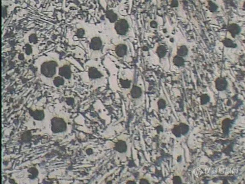 金相显微镜厂家-广东金相显微镜采购-渗碳体