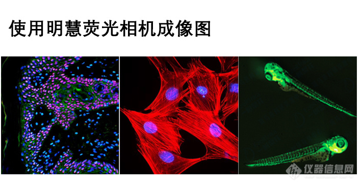 显微镜数码相机-广州市明慧科技有限公司