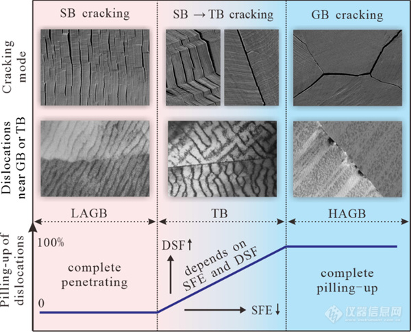 Progress in Materials Science | 张哲峰团队孪晶界面疲劳开裂机制研究取得新进展