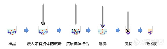 新品上市 | Watbule P11 全自动磁珠纯化仪，让一切皆有可能