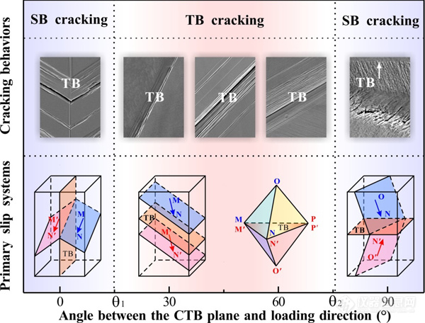 Progress in Materials Science | 张哲峰团队孪晶界面疲劳开裂机制研究取得新进展