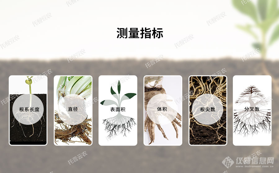 植物根系扫描系统