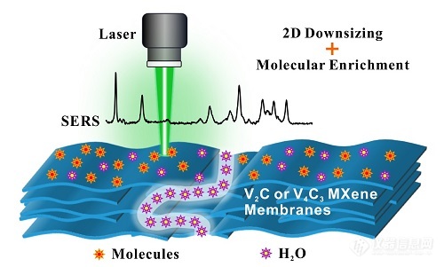 柔性二维碳化钒基表面增强拉曼散射检测平台问世