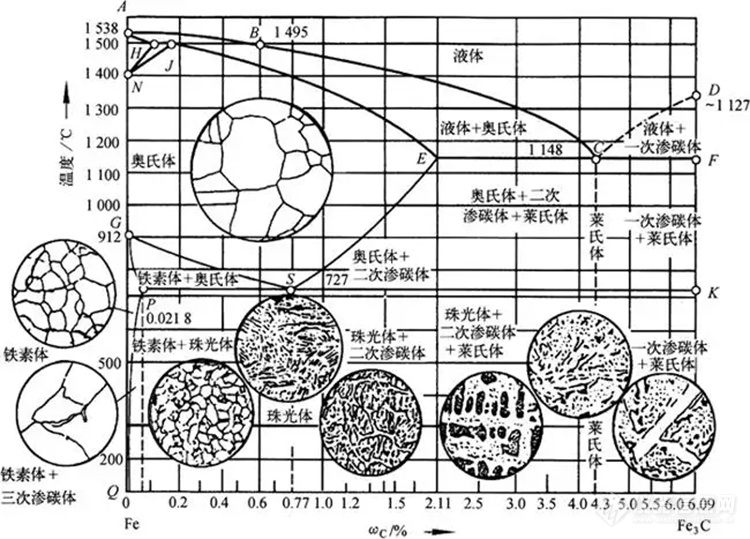 铁碳合平衡组织观察与分析金相图