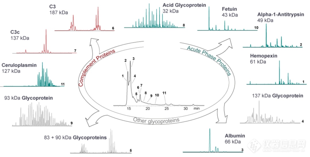 高分辨非变性质谱绘制人血清蛋白全貌图