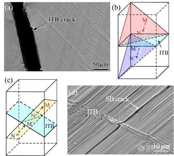 Progress in Materials Science | 张哲峰团队孪晶界面疲劳开裂机制研究取得新进展