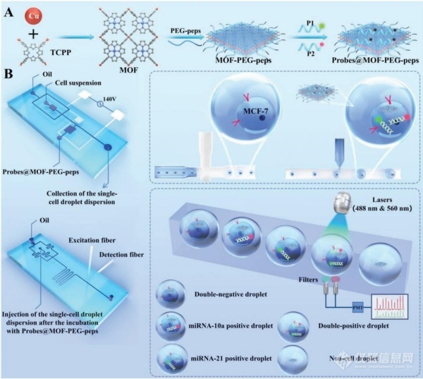 液滴微流控流式细胞仪技术|CTC单细胞miRNA原位多重检测