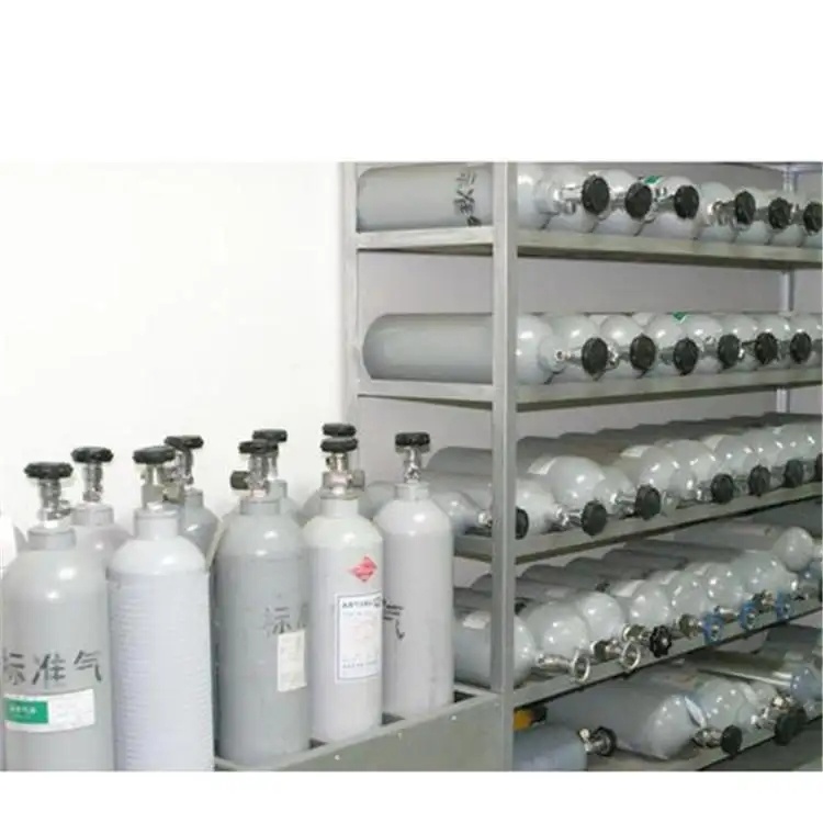 沧州地区标准气体8L环境运维气体8L化验分析检测气体8L