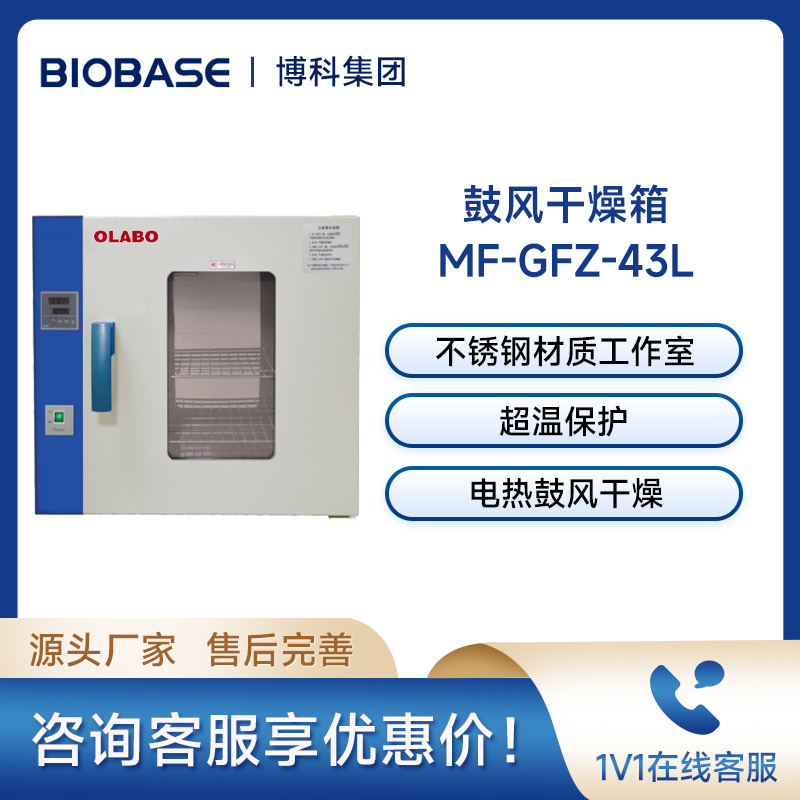 欧莱博电热鼓风干燥箱MF-GFZ-43L实验室高温烘箱试验箱电热烤箱
