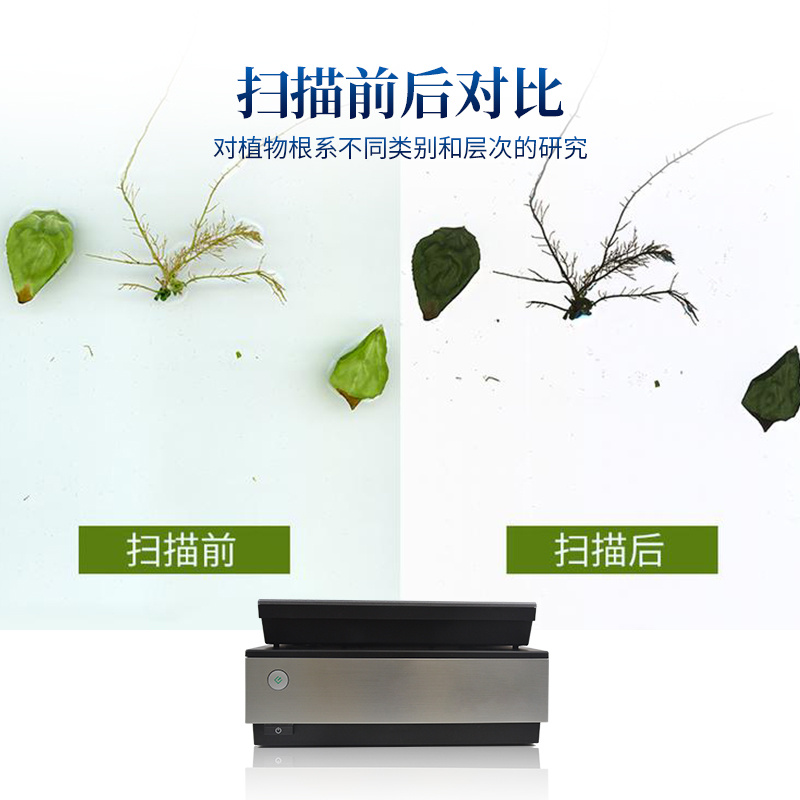 植物根系分析仪