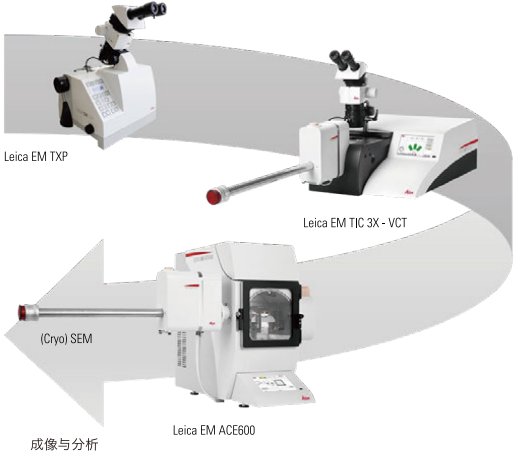 徕卡三离子束切割抛光仪 Leica EM TIC 3X