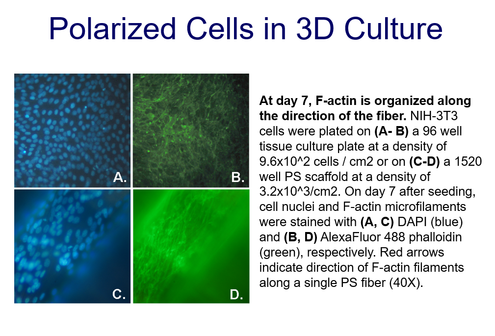 三维细胞培养支架
