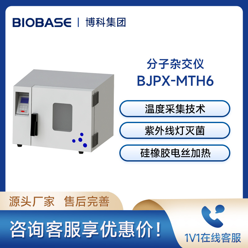 博科BIOBASE分子杂交仪BJPX-MTH6