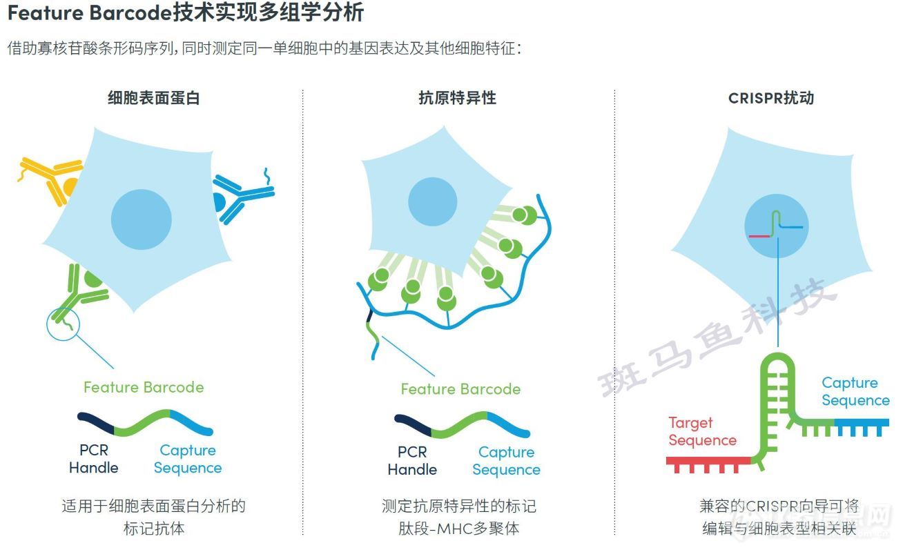 单细胞多组学解决方案.jpg