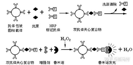 流式荧光技术检测与化学发光技术检测那些事儿