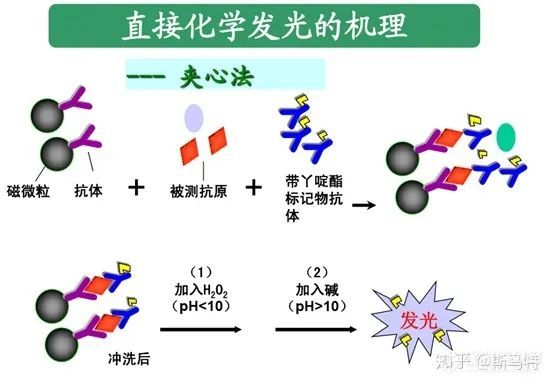 流式荧光技术检测与化学发光技术检测那些事儿