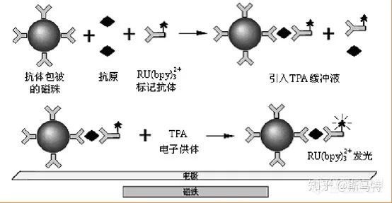 流式荧光技术检测与化学发光技术检测那些事儿