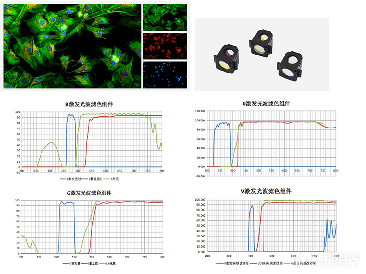 Nexcope(耐可视)倒置荧光显微镜 NIB910-FL.jpg