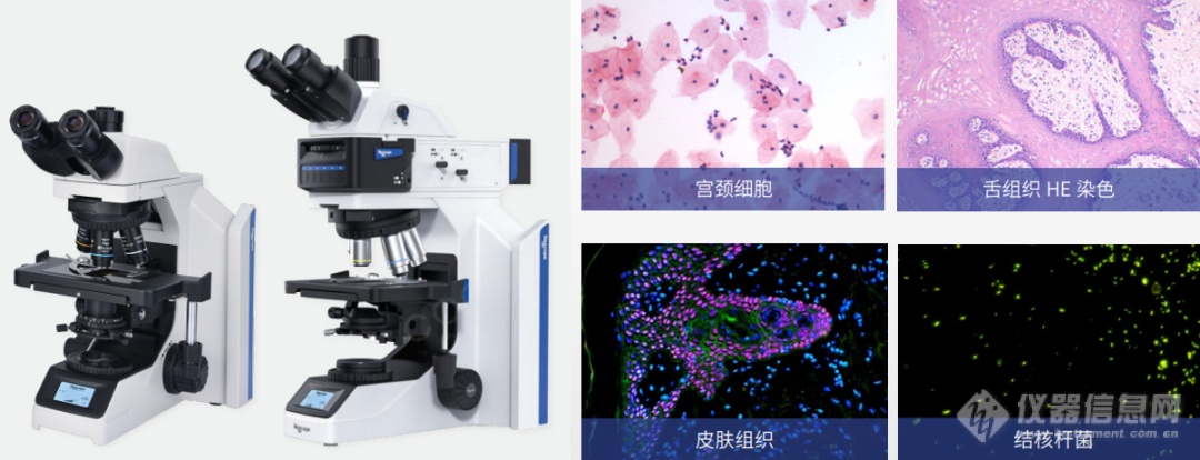 财政贴息支持科研、医疗设备更新改造，Nexcope提供国产高端光学显微解决方案