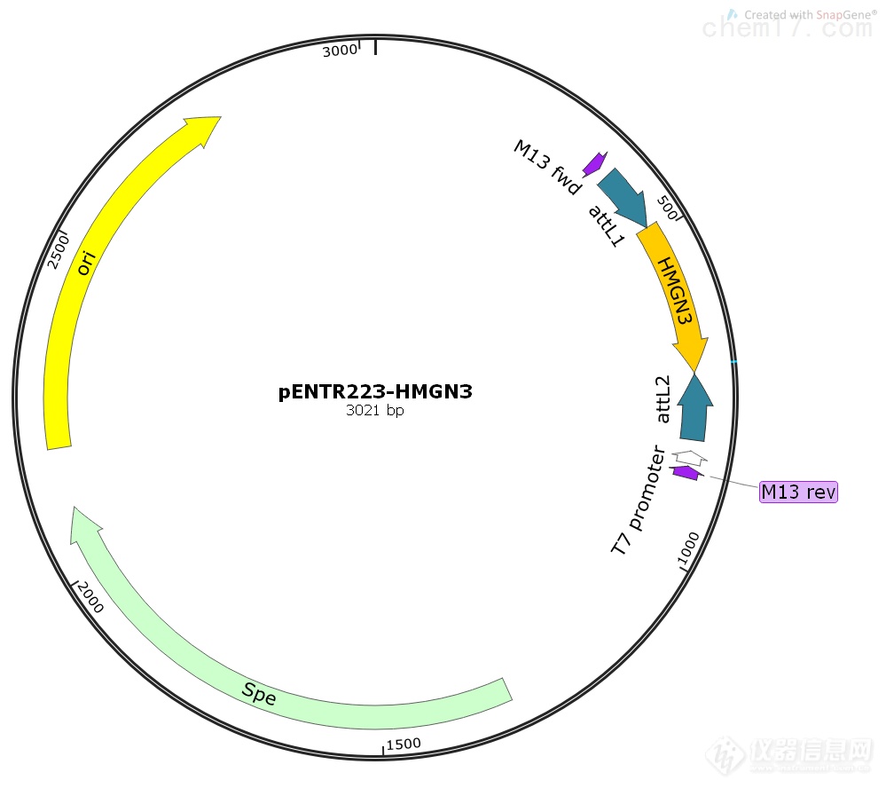 Yeast Plasmid Kit酵母质粒提取试剂盒