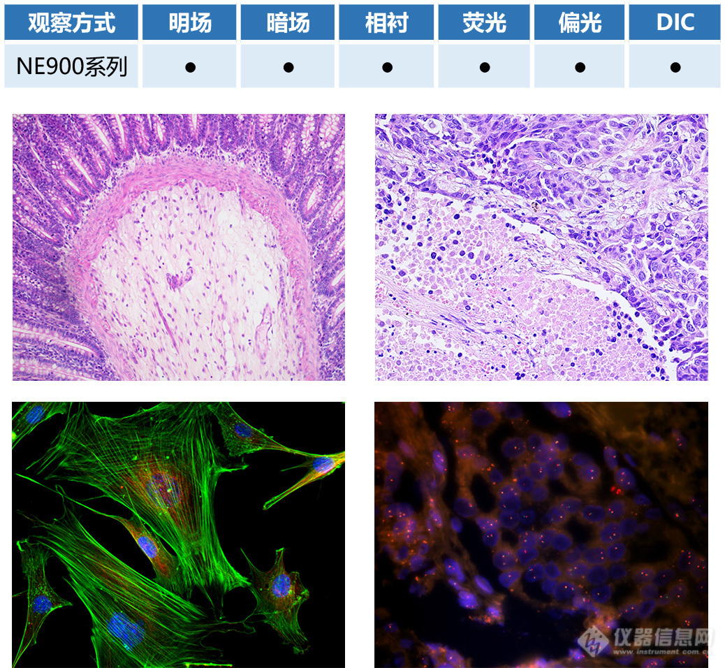 耐可视生物显微镜NE910-广州市明慧科技有限公司