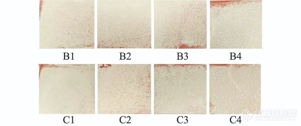 基于高光谱技术的陶瓷绝缘子污秽等级检测