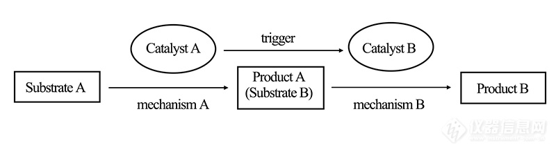 辅助串联催化反应示意图.jpg
