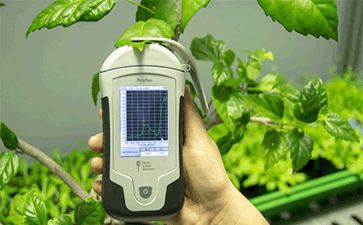 PolyPen手持式植物光谱仪
