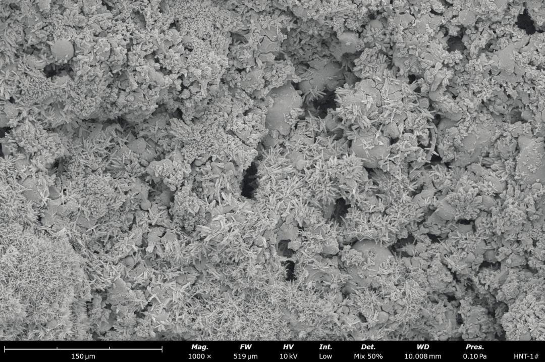 Phenom 飞纳地质领域扫描电子显微镜