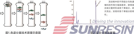 Sepsolut®高通量色谱系统