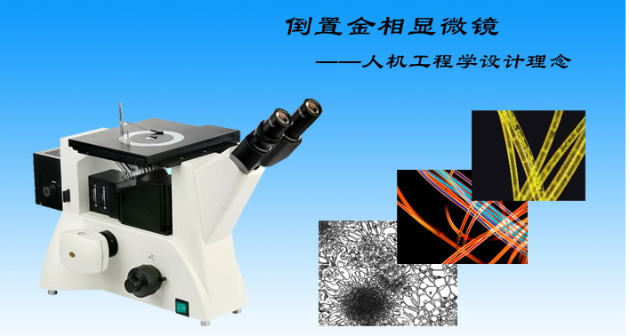 明暗场倒置金相显微镜