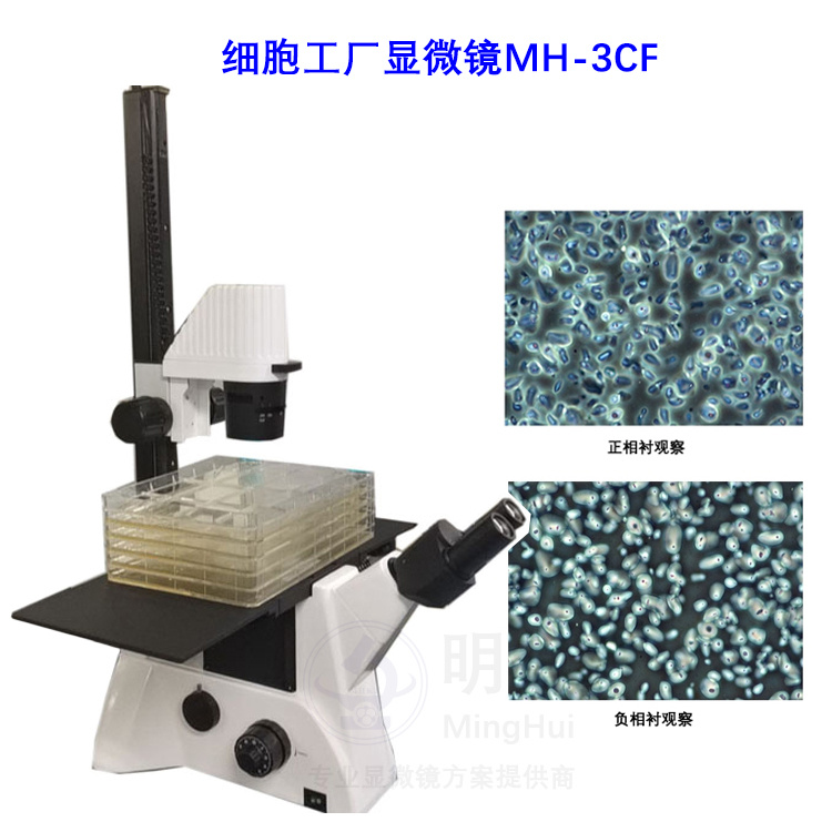 细胞工厂显微镜MH-3CF