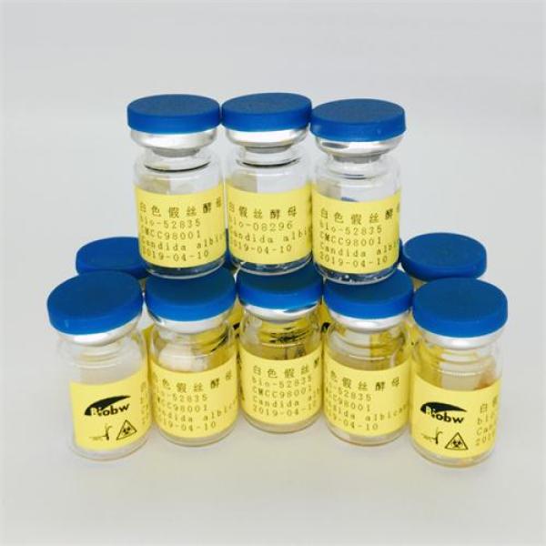 Bio-116025 铜绿假单胞菌质控样品