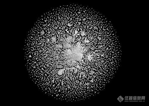 DeepMind遇上对手? Meta AI预测6亿蛋白质结构