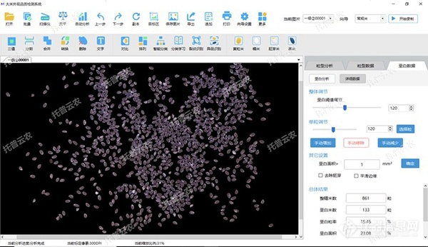 大米外观品质检测仪垩白数据.jpg