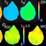 PlantScreen高通量植物表型成像分析系统（野外版）