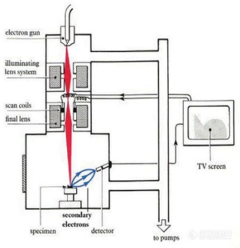 图1 电子显微镜的系统结构.png