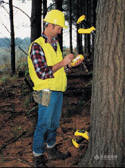 ST300立木品质测量仪