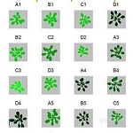 PlantScreen高通量植物表型成像分析系统（野外版）