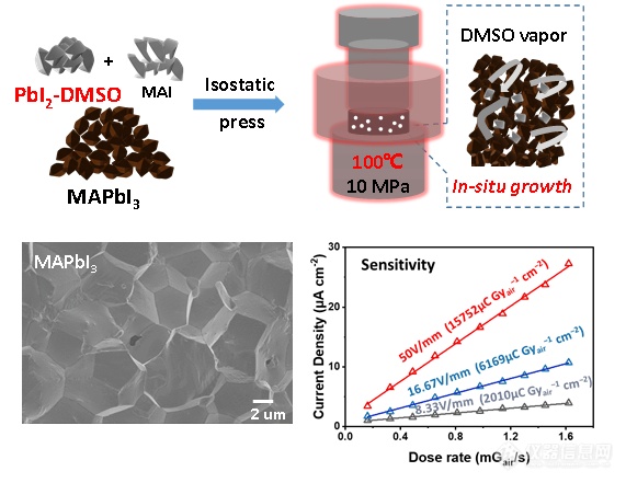 Advanced Science | 原位生长钙钛矿晶片实现低剂量直接X射线探测成像