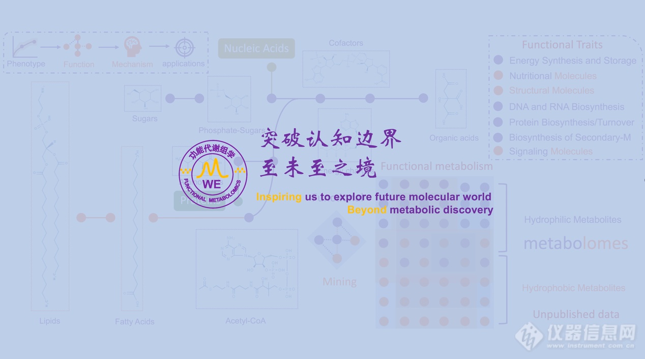 上交大吕海涛课题组运用功能代谢组学STORM策略发现胰腺癌治疗的潜在新靶点