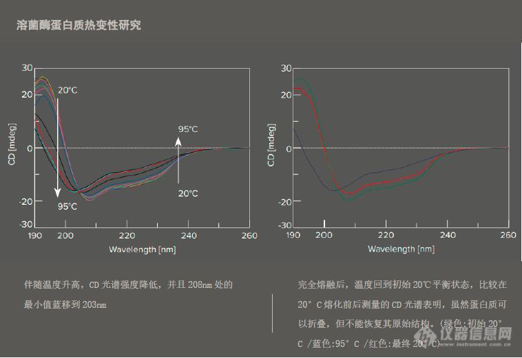 蛋白质热变性.jpg