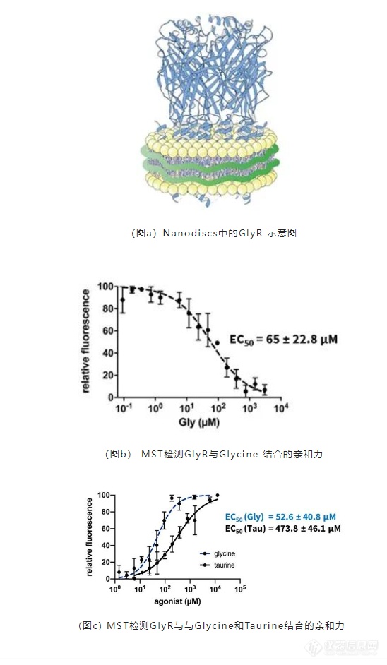 NanoTemper工具为您的膜蛋白研究排忧解难！