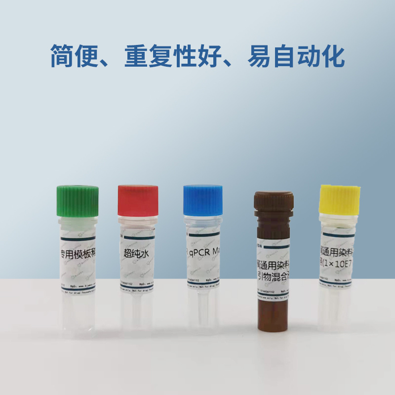 乙型肝炎病毒前基因组RNA 探针法荧光定量RT-PCR试剂盒