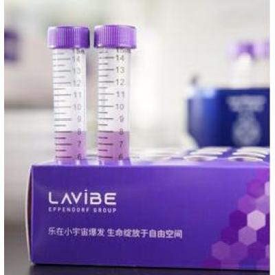 Lavibe  锥底离心管