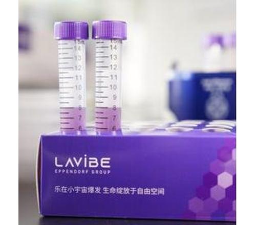 Lavibe  锥底离心管