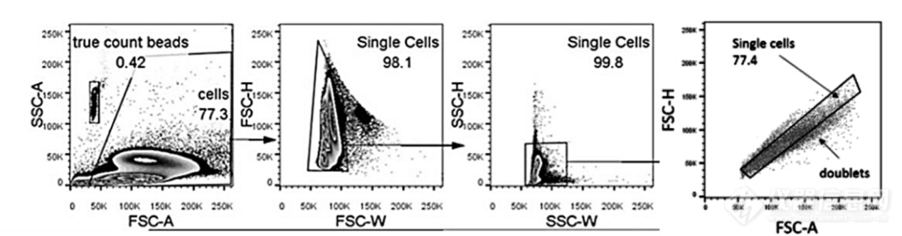 流式大咖说|FSC与SSC在流式细胞术中的应用——西南医院马清华副研究员