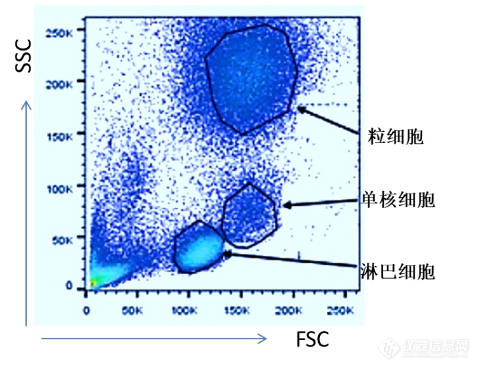 FSC与SSC在流式细胞术中的应用  作者：西南医院 马清华 副研究员 仪器信息网