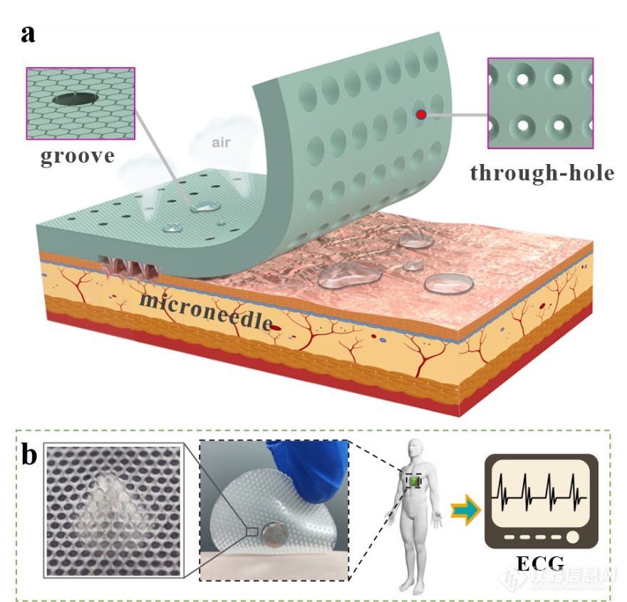 南航姬科举课题组：兼具排汗透气与黏附的仿生健康监测电极