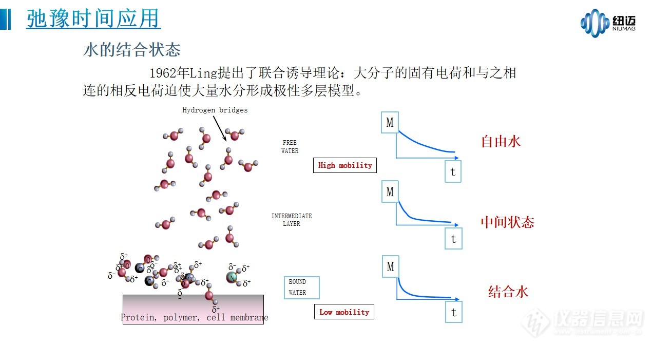 低场核磁技术研究水分子运动状态_苏州纽迈分析仪器股份有限公司